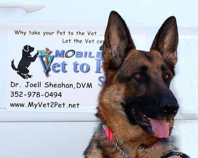 Why Mobile Vets Lake County