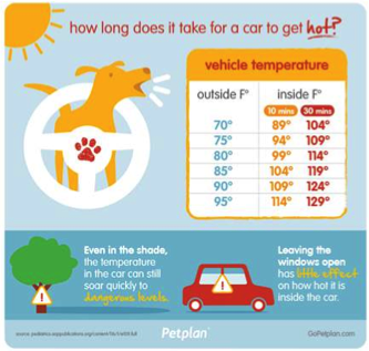 Dogs In Cars Heat Up