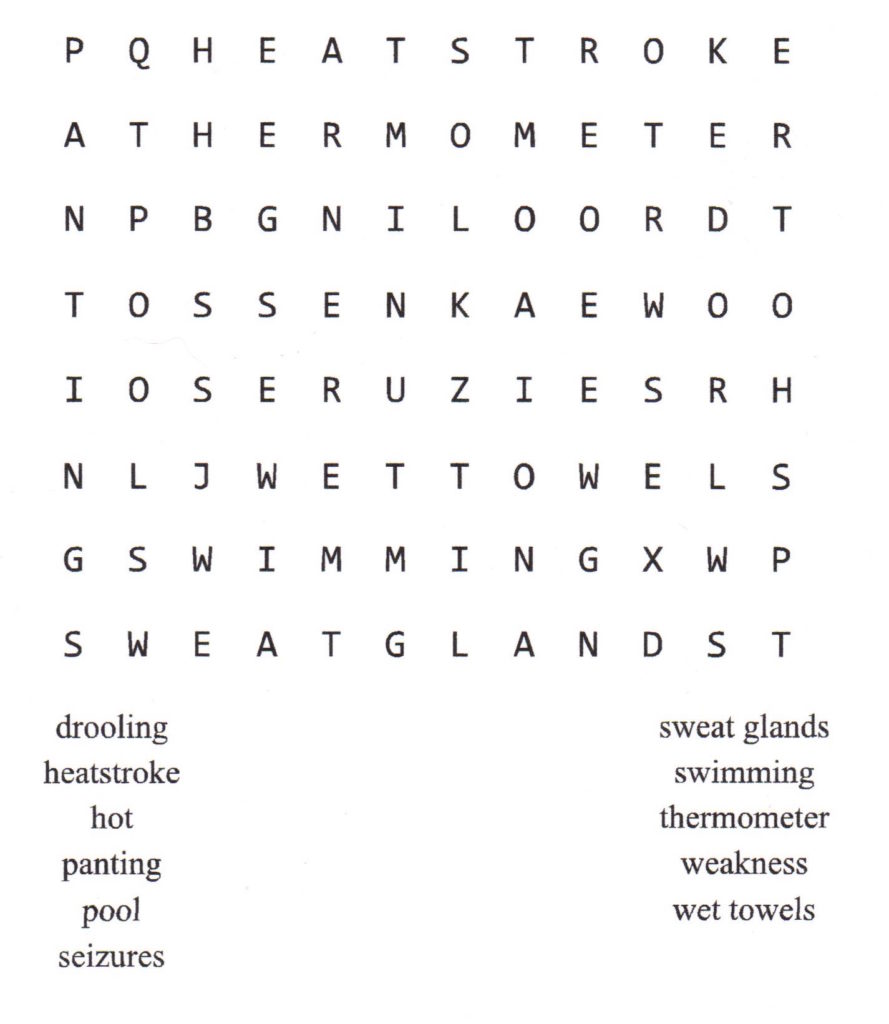 Summer Pet Care Word Puzzle