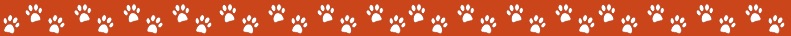 newsletter pawprints